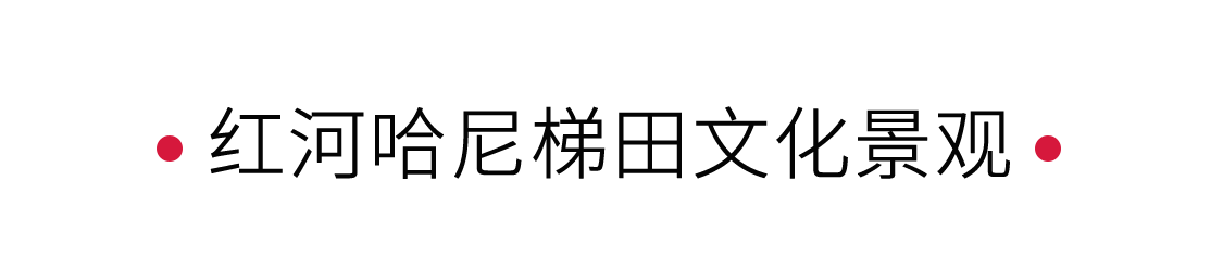 紅河哈尼梯田文化景觀：大自然的調(diào)色盤 | 手機里的中國世界遺產(chǎn)