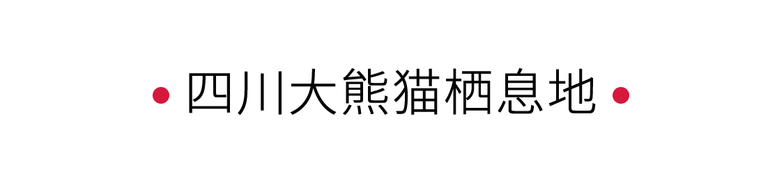 四川大熊貓棲息地：一個“活的博物館” | 手機里的中國世界遺產(chǎn)