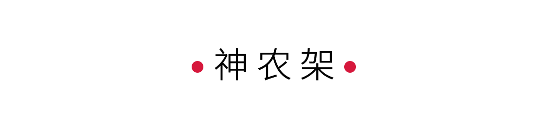 探秘生命秘境神農(nóng)架 | 手機(jī)里的中國(guó)世界遺產(chǎn)