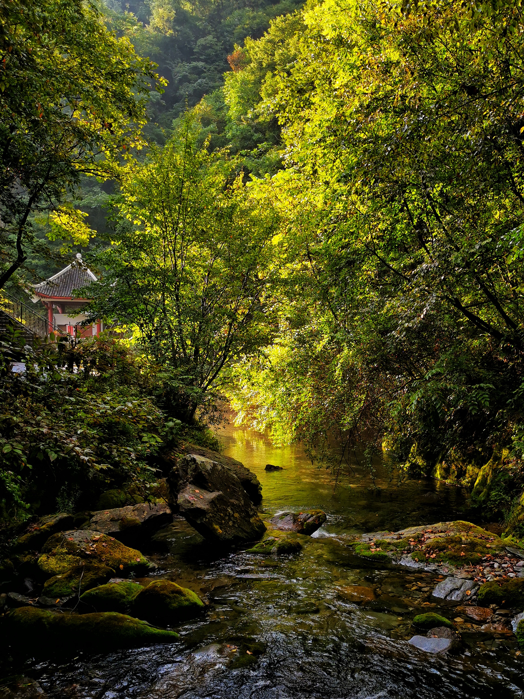 探秘生命秘境神農(nóng)架 | 手機(jī)里的中國(guó)世界遺產(chǎn)