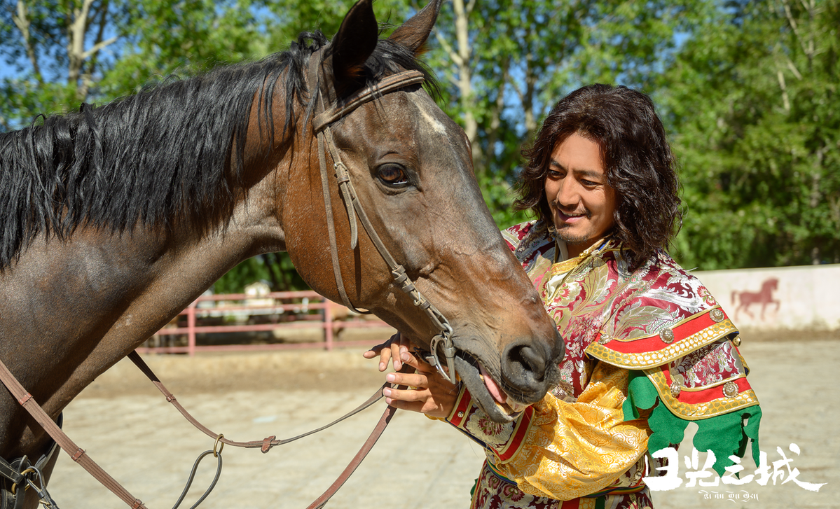 TV drama sheds light on Xizang people's dreams