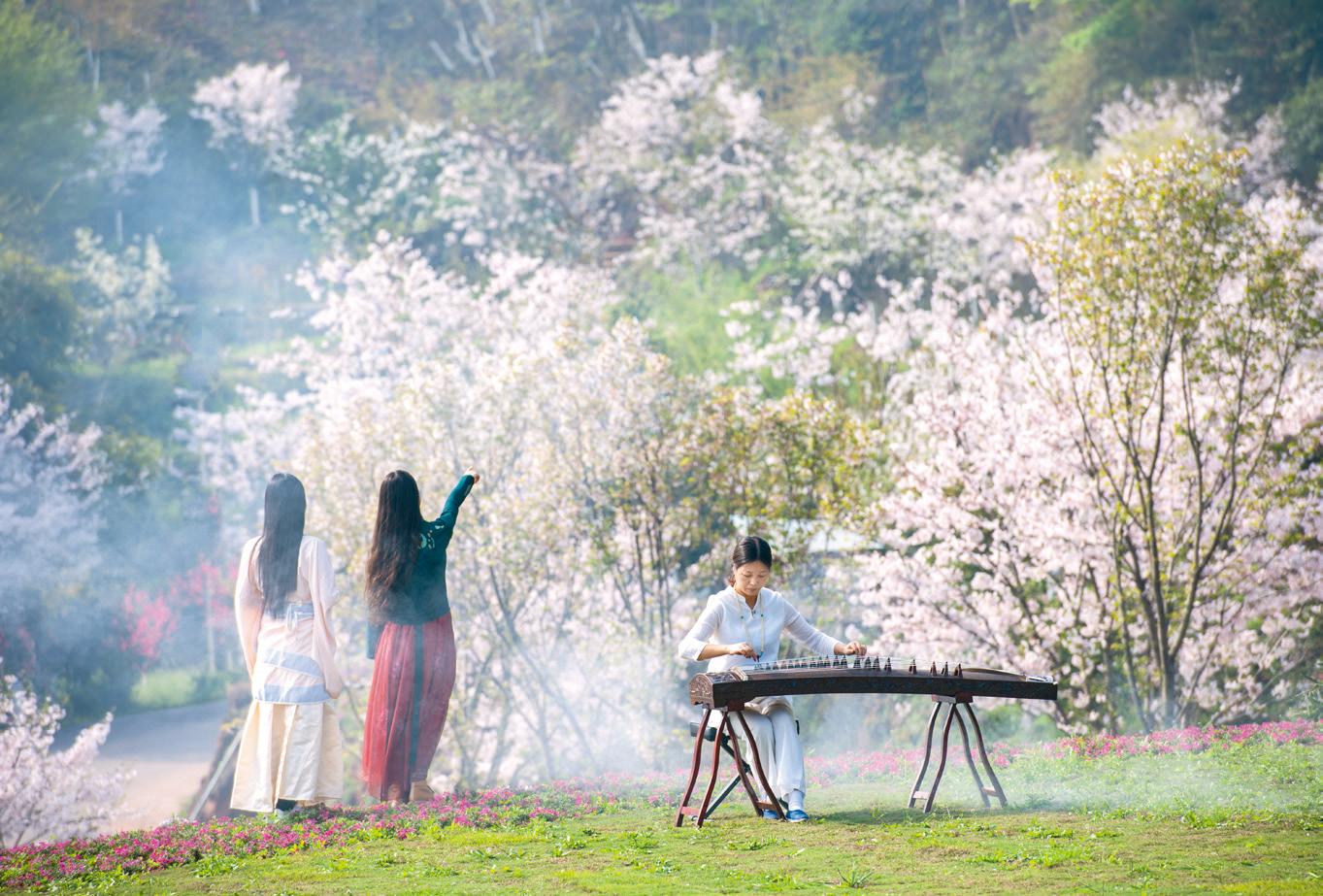 一朵“梨花”，挑起全域旅游擔(dān)子