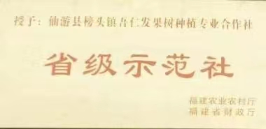 陳國棟：開荒種沃柑結(jié)出“共富果”