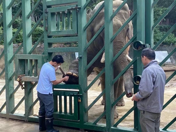 國際生物多樣性日