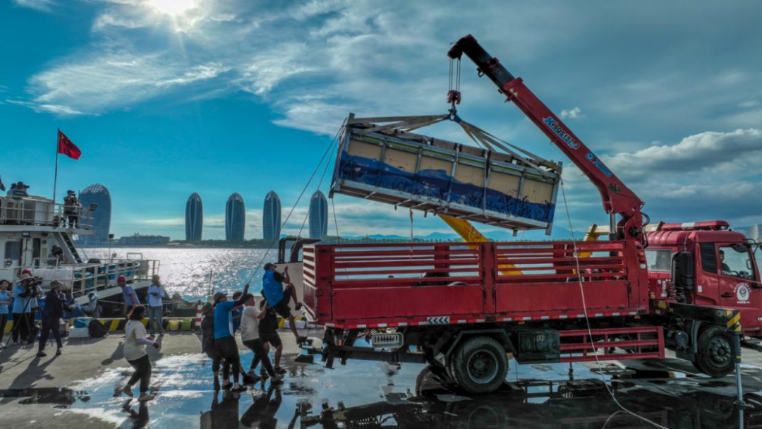 Shored up: Whale Haitang Returns Home 145 Days After Stranding