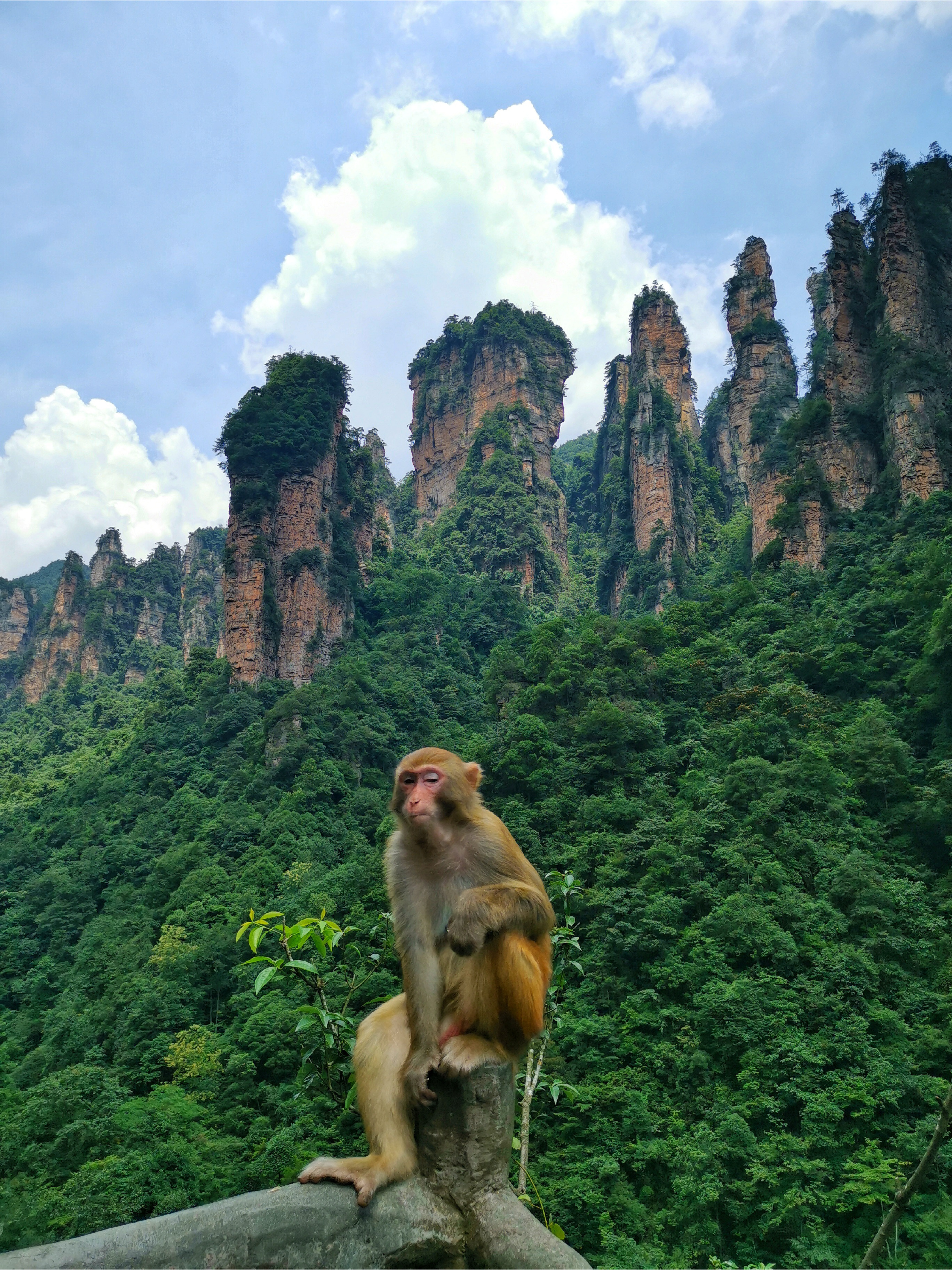 Wulingyuan Scenic and Historic Interest Area