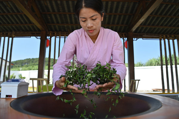 Inheritor of Gupa tea-making skills in China